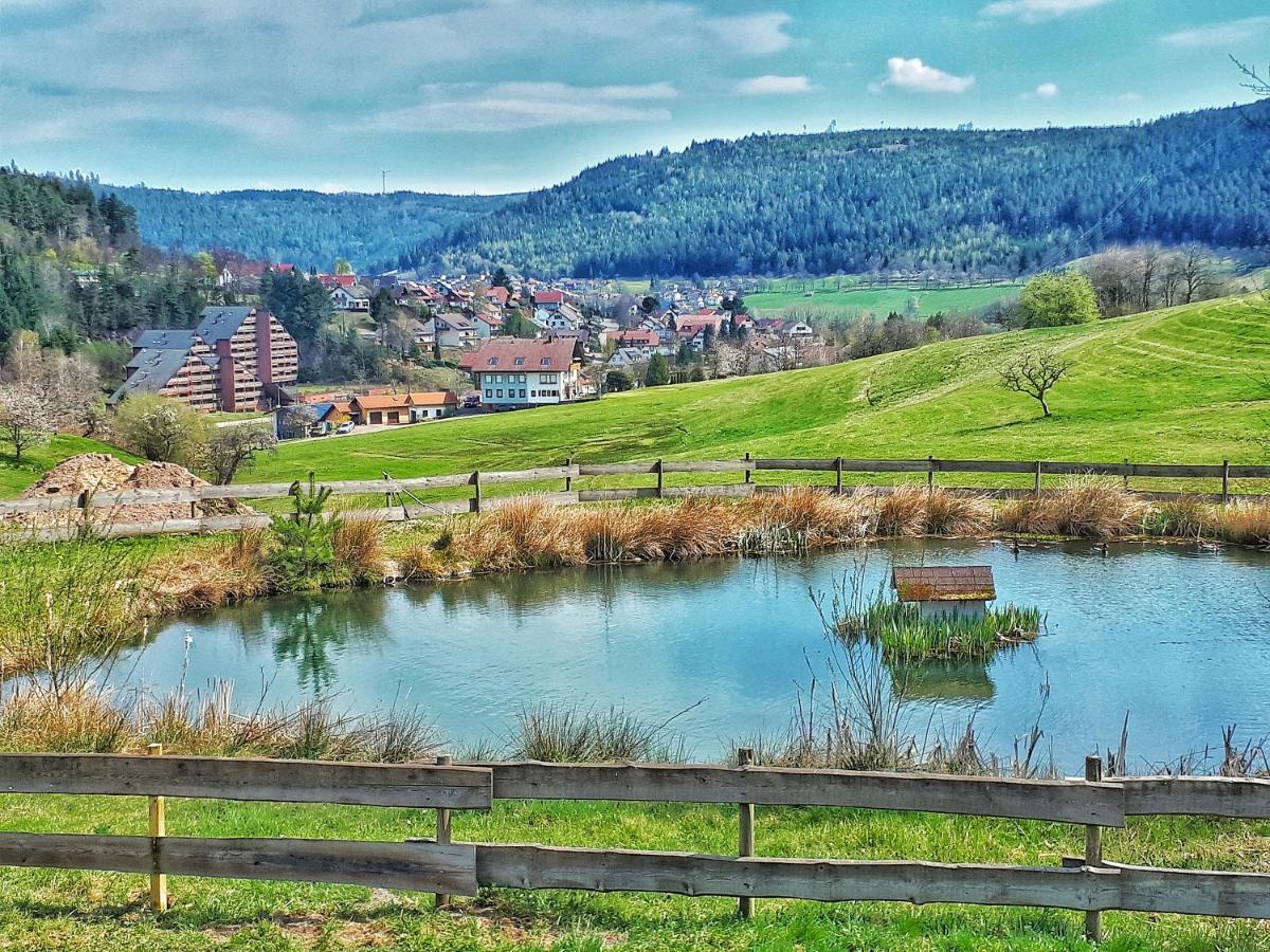 Schwarzwald Woelkchen Apartment Baiersbronn Exterior foto