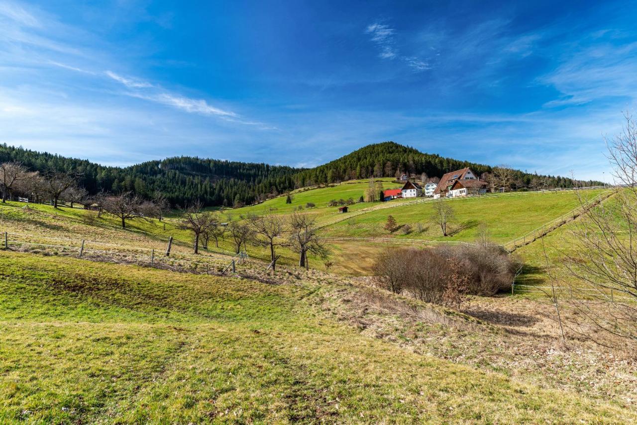 Schwarzwald Woelkchen Apartment Baiersbronn Exterior foto